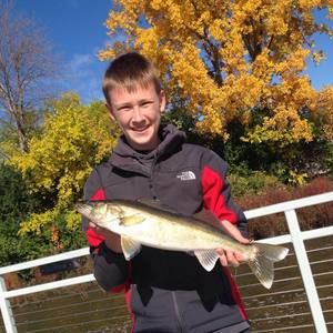 Meet your Posher, Mason